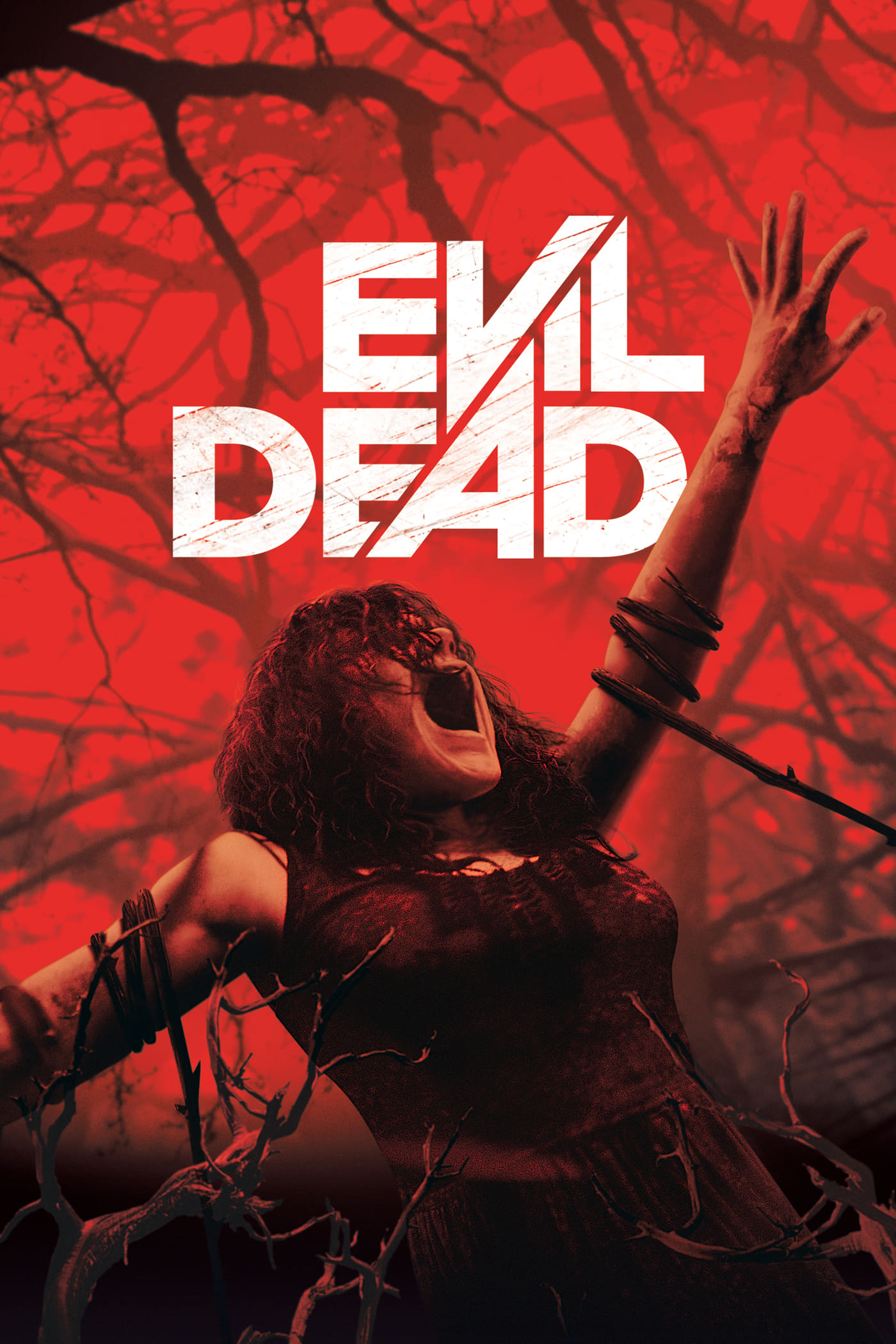 Evil.Dead.2013.Remastered.Extended.Cut.1080p.BluRay.H264.AC3.DD5.1 (2013) [698] (A1661666607) [[Movies]] --Plex--